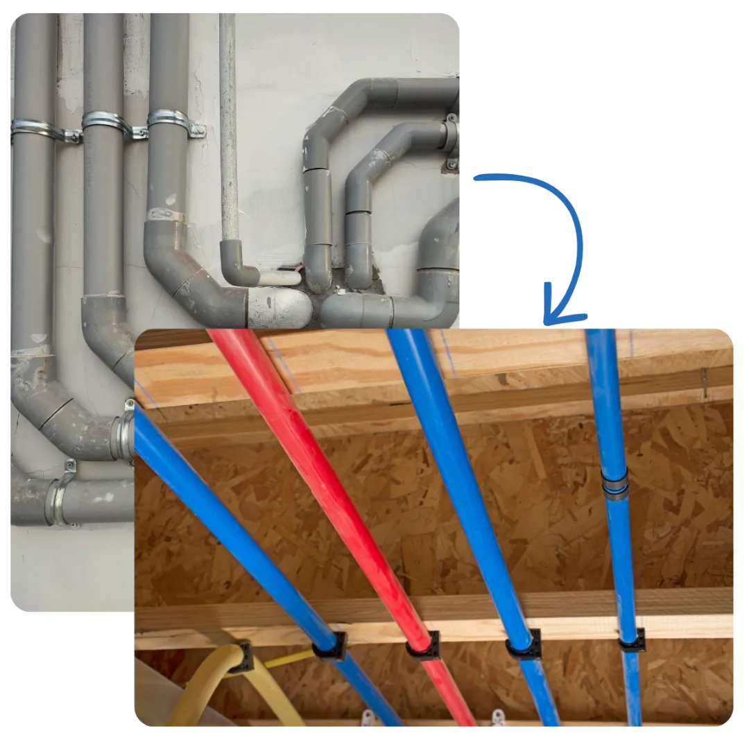 poly-b-replacement poly-b-replacement